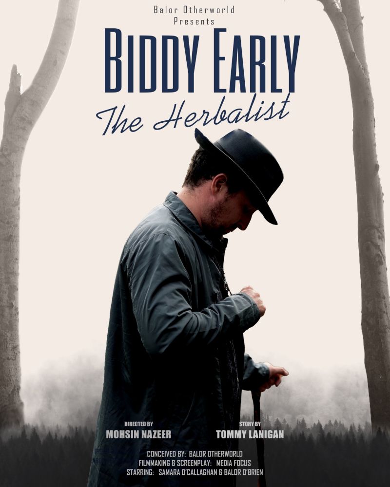 biddy early film poster 1