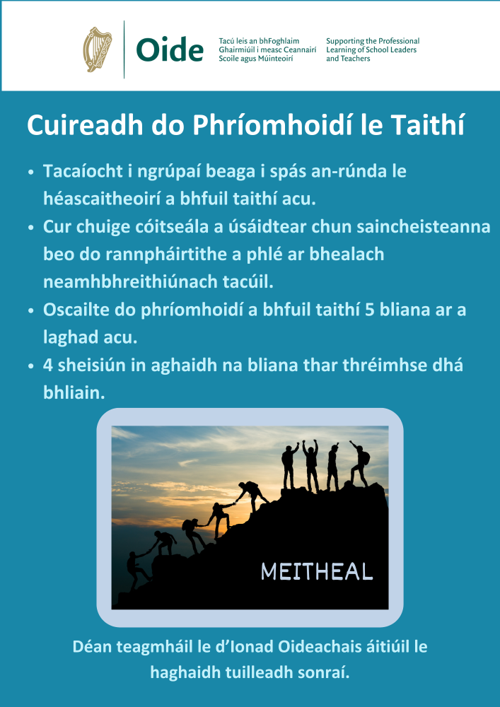 meitheal gaeilge
