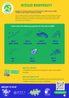 Bitesize Biodiversity - Ivy